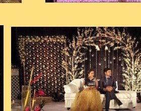 Branch & Crystal Stage Seating - Best Luxury Villa in Udaipur