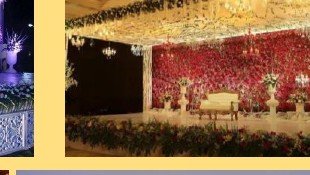 Reception Floral Wall Stage - Best Luxury Villa in Udaipur